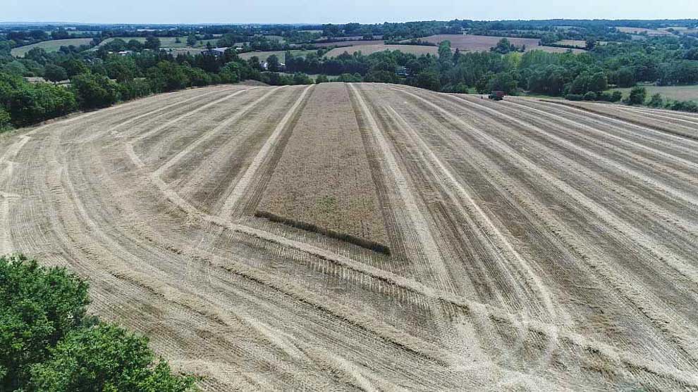 Production agricole sans pesticide ni insecticide